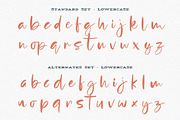 Yellowstone, a Script Font by StereoType (Thumbnail 10 of 11)