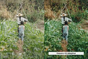 20 Kurosawa Film Lightroom Presets a, a Preset Add-On by SparkleStock (Thumbnail 8 of 16)