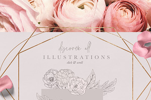 Blush Textures Floral Illustrations