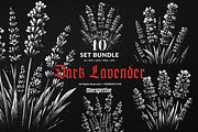 10 Bundle Dark Art Lavender Flower, an Illustration by Morspective (Thumbnail 1 of 7)