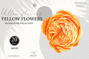 Watercolor Yellow flowers wildflower, an Object Graphic by KarinkaBU (Thumbnail 6 of 7)