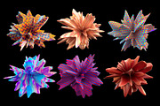 Fluid Shapes Set, an Object Graphic by Vasily Kulinich (Thumbnail 6 of 8)