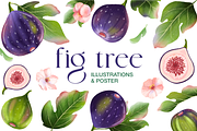Fig tree fruit and leaves clipart, a Food Illustration by Harmony Draws (Thumbnail 1 of 6)