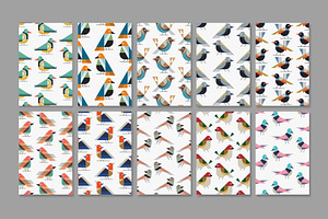 Flat Birds Illustrations & Patterns