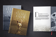 Maria Serif Font -50%, a Serif Font by VP Fonts (Thumbnail 2 of 9)
