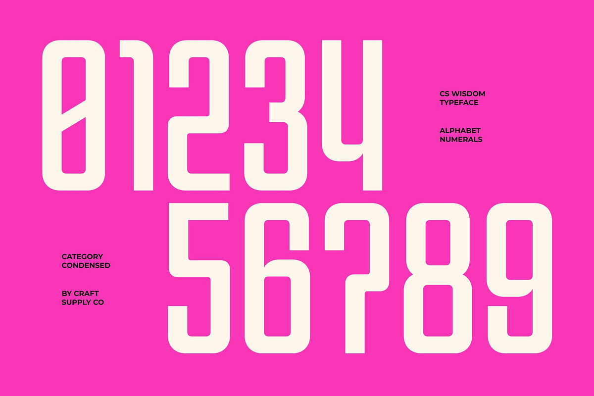 Wisdom – Condensed Font, a Sans Serif Font by Craft Supply Co. (Photo 6 of 8)