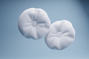 10 Bundle 3D Render Unique Pillow, a Furniture 3D Model by Astuti Studio (Thumbnail 10 of 11)