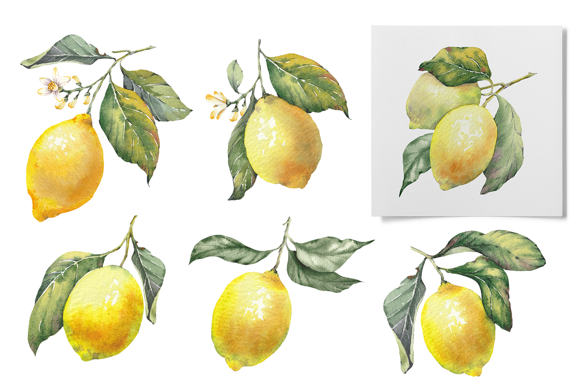 Lemon Garden Watercolor Cliparts, a Decorative Illustration by Jeanna Draw (Photo 5 of 11)