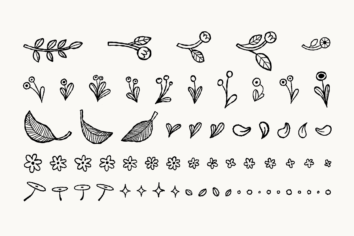 Wildflowers Illustration Bundle, a Decorative Illustration by Hillustrations (Photo 3 of 3)