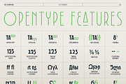 TA Sonatina, a Sans Serif Font by TAFT Foundry (Thumbnail 14 of 15)