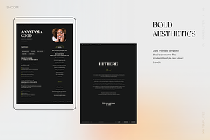 Modern Resume Bundle: 10 PRO Themes