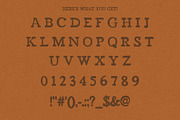 Handy Slab, a Slab Serif Font by Eric Pond Designs (Thumbnail 3 of 3)