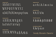 Sevenity, a Serif Font by din-studio.com (Thumbnail 10 of 11)