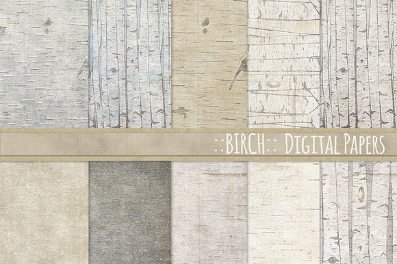 Birch Wood Background Images preview 7