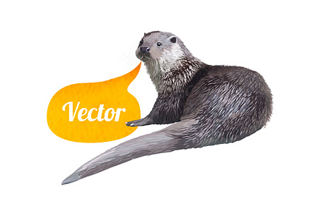 Otter