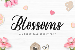 Calligraphy Font