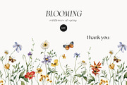 BLOOMING wildflowers of spring, a Seasonal Illustration by AleksaArt (Thumbnail 13 of 13)