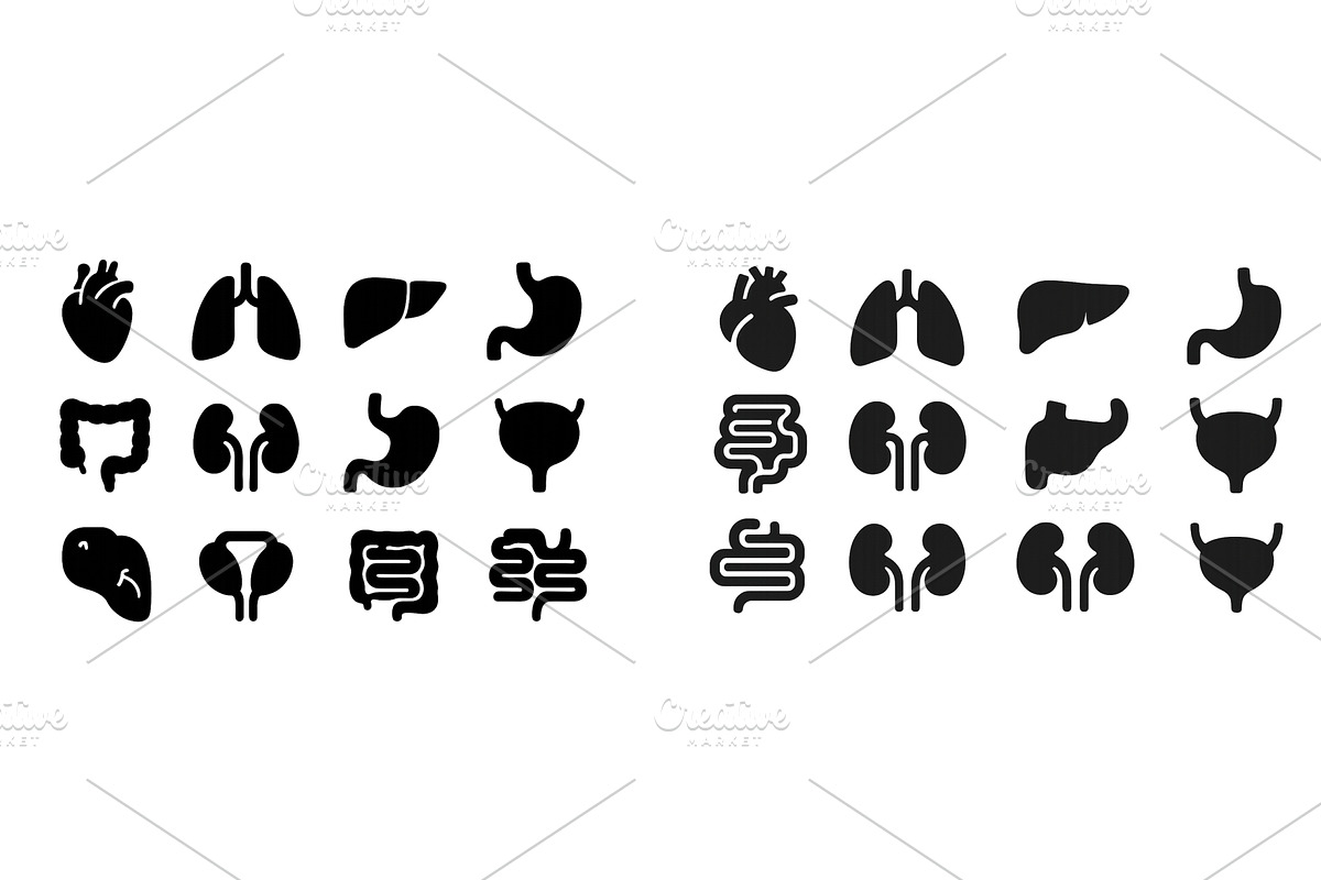 Graphic representation of human, an Education Illustration by ZinetroN
