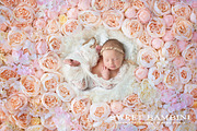 Digital Backdrop Newborn Photography, a Layer Style Add-On by Sweet Bambini Design (Thumbnail 1 of 2)