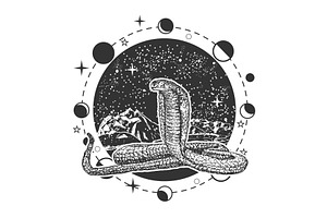 Snake Sketch Cosmic Mystery Symbol