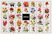 Vintage Book Of Flowers Clipart, an Object Graphic by angelainthefields (Thumbnail 11 of 18)