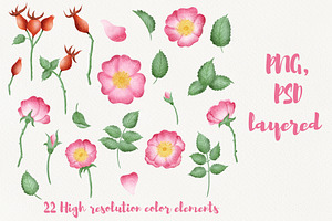 Wild Rose Clipart Rose Hip