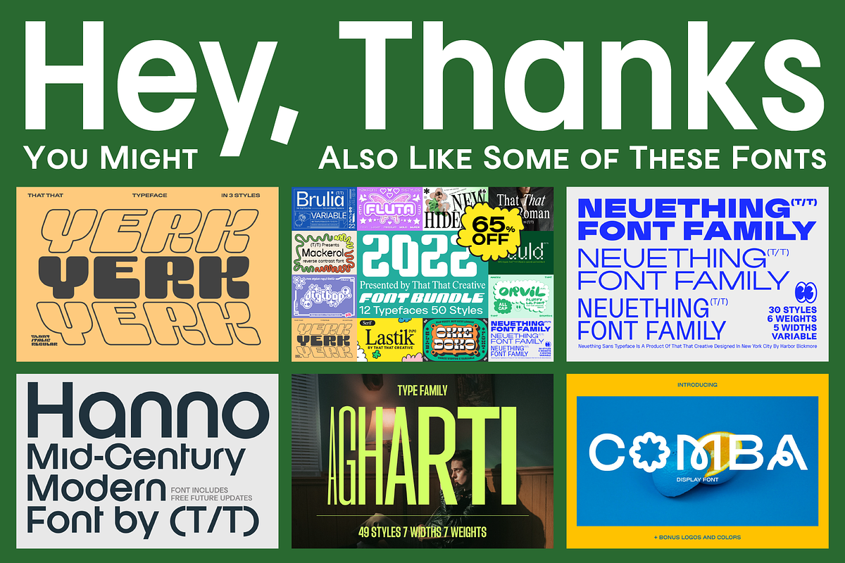 Franie Geometric Sans 72 Styles, a Sans Serif Font by That That Creative (Photo 14 of 14)
