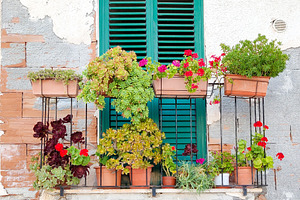 Balcony with flowers on rustic wall