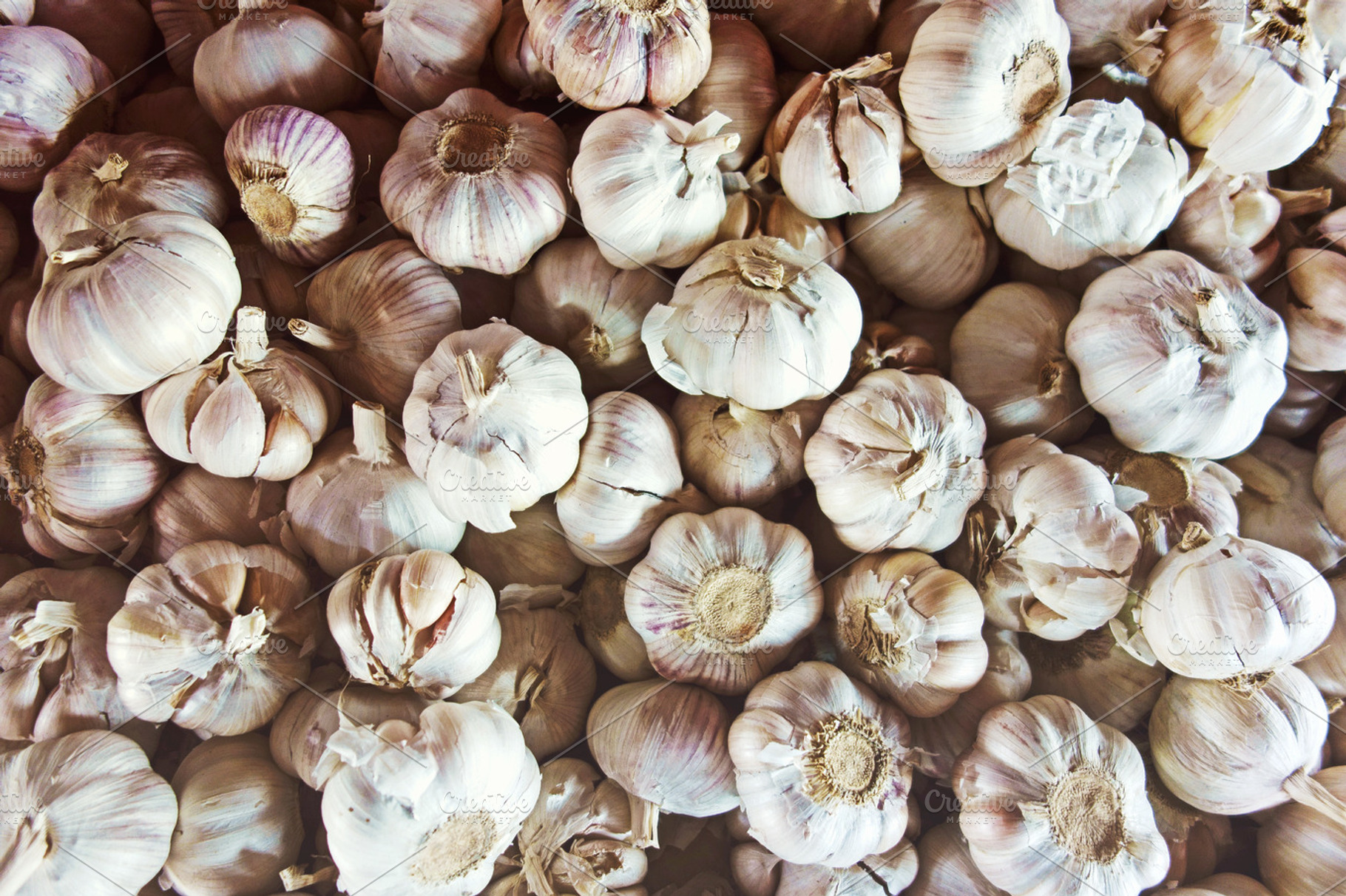 Garlic containing raw, organic, and market