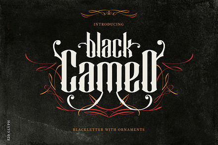 Black Cameo - With Bonus Ornaments, a Blackletter Font by creativemedialab