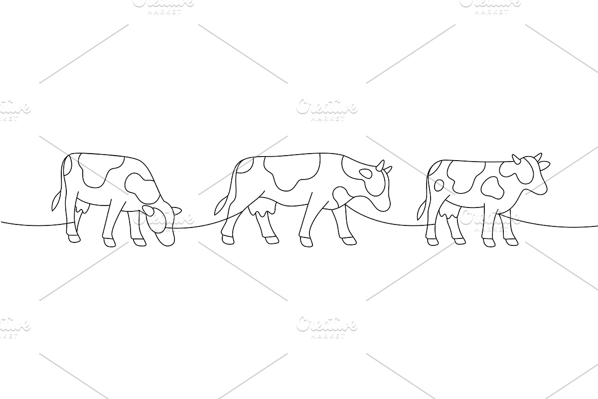 Cows in different poses. Elegant, an Animal Illustration by GraphiShop