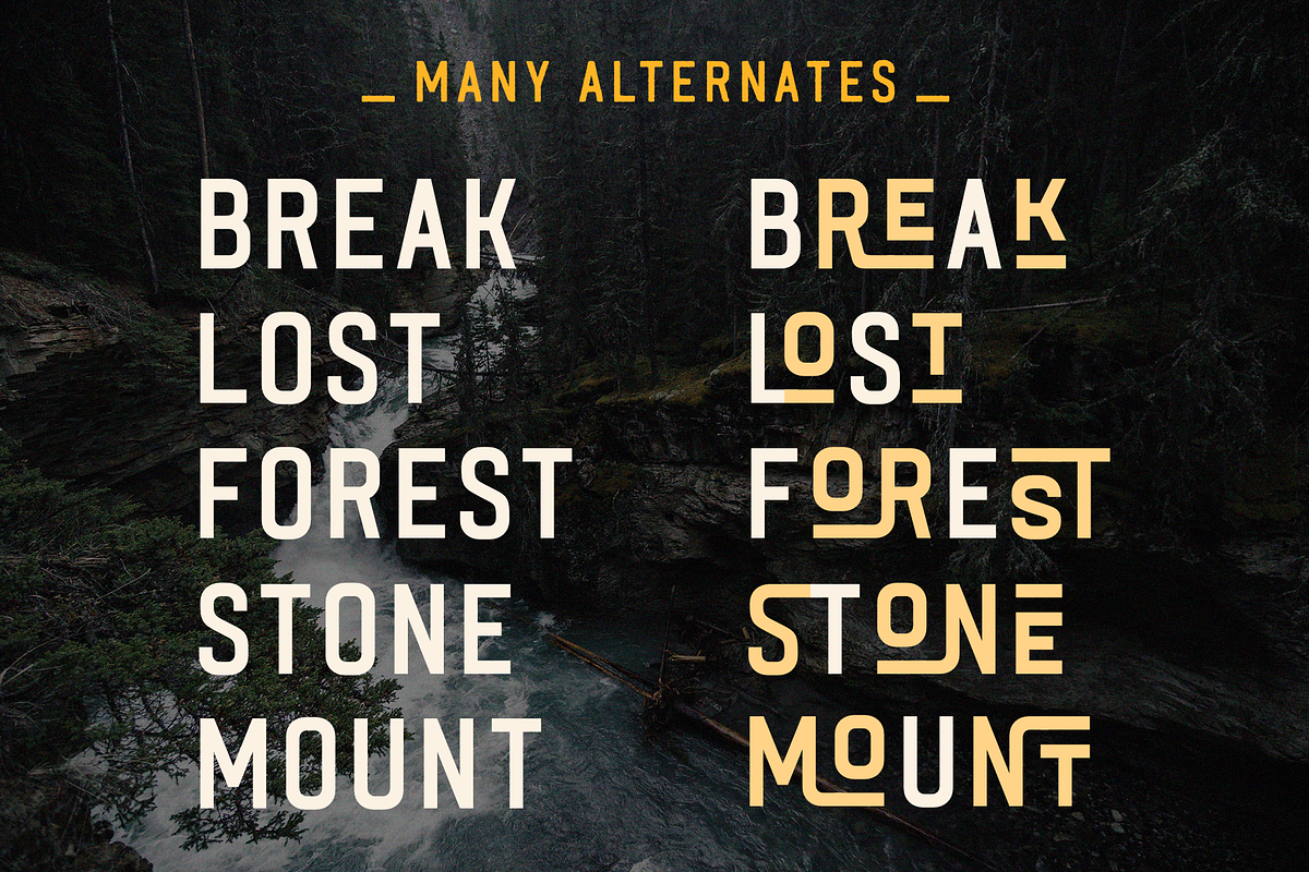 Black River, a Font by Larin Type Co. (Photo 7 of 10)