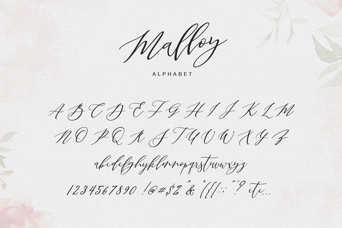Malloy preview 7