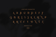 Worid Elegant Luxury Serif Font, a Serif Font by Graphicxell (Thumbnail 8 of 8)