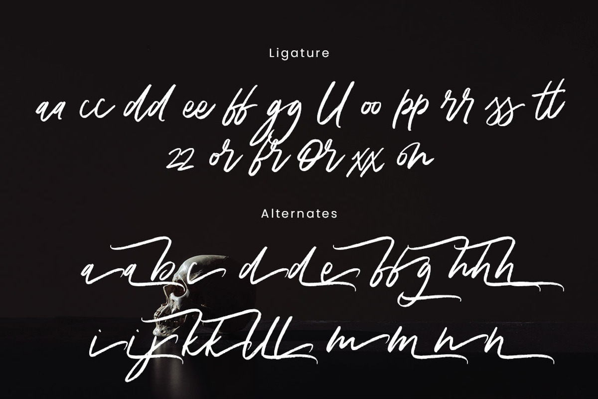 Death Zone Brush, a Script Font by Thirtypath Studio (Photo 8 of 8)