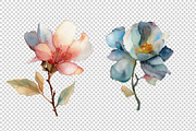 Watercolor Flowers, a Decorative Illustration by BazziBa♥ (Thumbnail 3 of 9)
