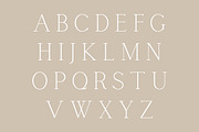 UPDATE: Calgary | An Essential Serif, a Serif Font by Jen Wagner Co (Thumbnail 7 of 9)