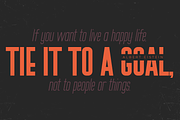 LeBlanc - Condensed Sans Serif, a Sans Serif Font by FactoryType Studio (Thumbnail 9 of 10)