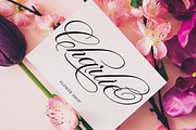Wonderful Script, a Script Font by Has_rizal (Thumbnail 8 of 10)