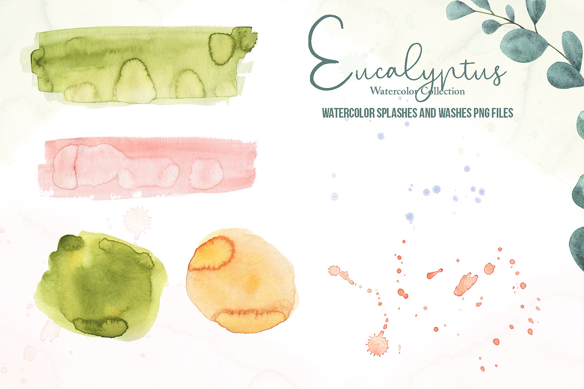 Watercolor Eucalyptus SET, a Decorative Illustration by TanataDesign (Photo 14 of 16)