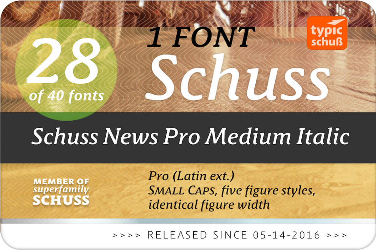 SchussNewsProMedIta No. 28 (1 Font) preview 2