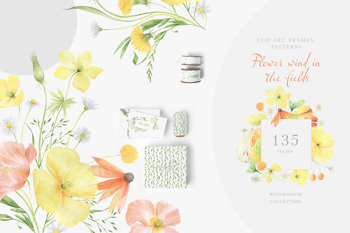 Wildflowers, poppies and herbs, a Food Illustration by astelenadesign (Photo 1 of 19)