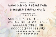 Beautiful | Script Font, a Handwritten Font by Scratchones (Thumbnail 7 of 9)