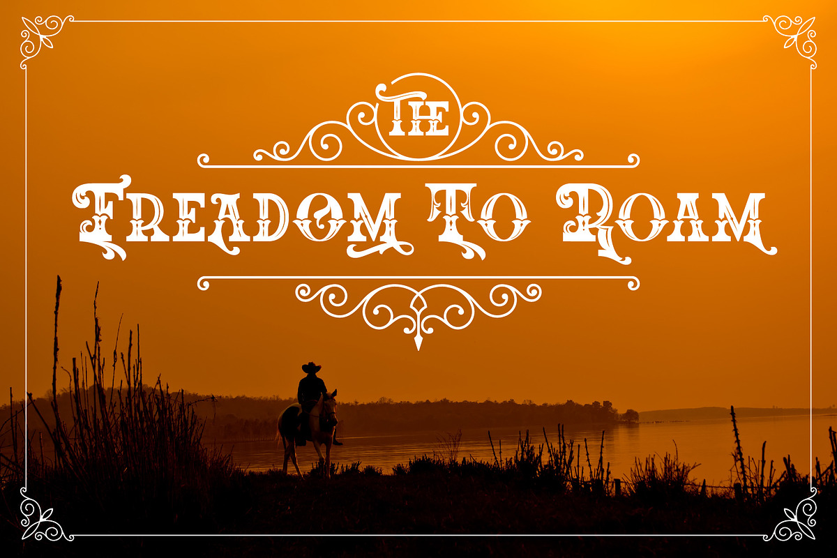 The Western Gold, a Serif Font by Burntilldead (Photo 6 of 11)