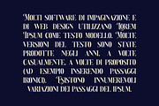 Monarch Paradox Vintage Serif Font, a Serif Font by UICreative (Thumbnail 6 of 13)