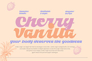 Candler Ranger Font Duo, a Script Font by Damelev (Thumbnail 8 of 8)