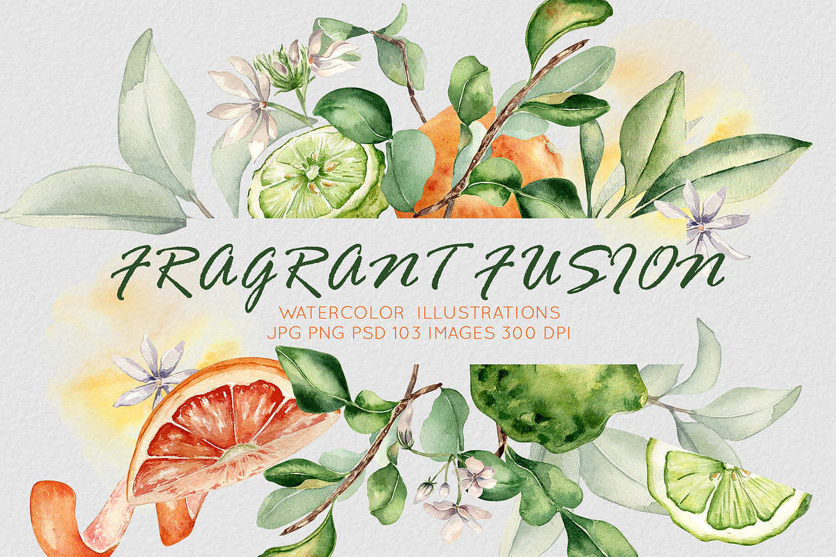 Citrus fruits and flower watercolor, a Decorative Illustration by Kate Lanbina (Photo 1 of 20)