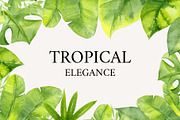 Tropical Elegance. Watercolors, a Decorative Illustration by Liliia Polos Illustration (Thumbnail 12 of 12)