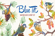 Watercolor blue tit bird clipart, an Illustration by Art & Things (Thumbnail 7 of 8)