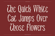 CS Burke Stamp, a Sans Serif Font by Craft Supply Co. (Thumbnail 2 of 8)